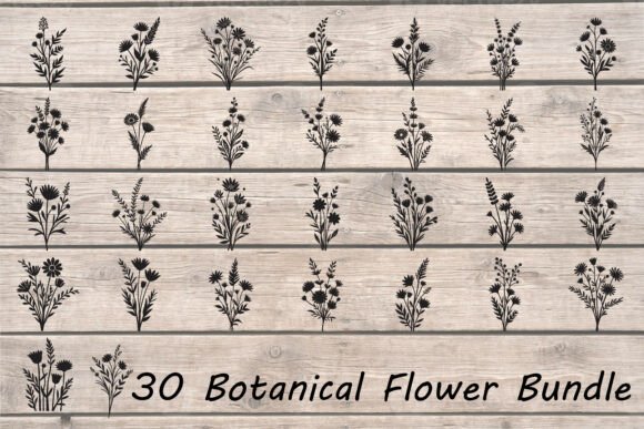 Botanical Flower SVG Bundle Review