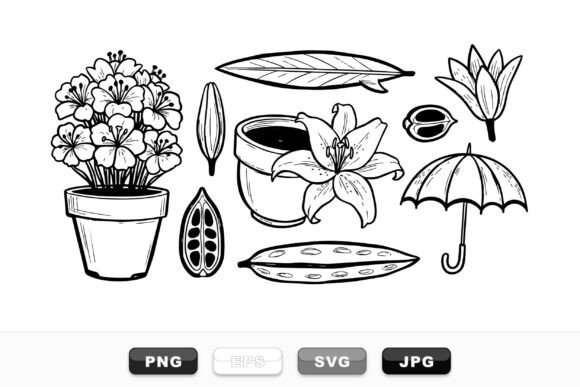 Hand Drawn Floral Sketch Set Review